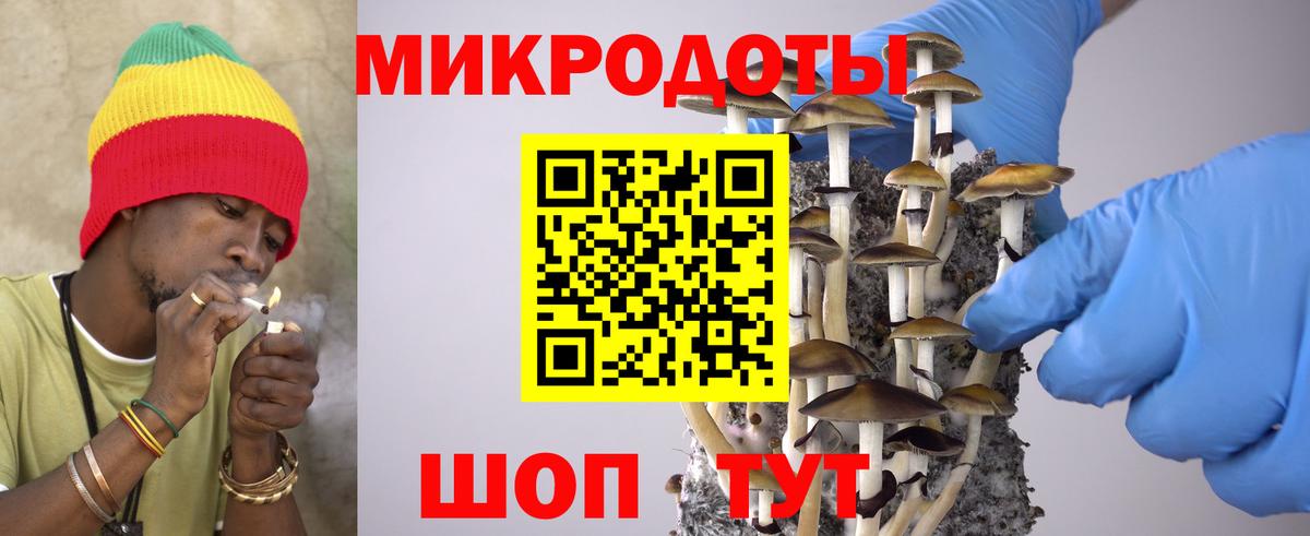 Галлюциногенные грибы мухоморы Мичуринск