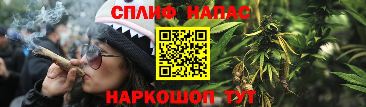 Каннабис Bruce Banner  Бошки Шишки семена  Вход с VPN  Мичуринск  Каннабис семена 